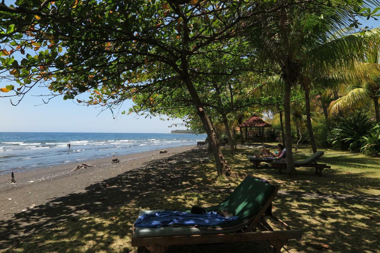 Bali Sandat 테자쿨라 외부 사진